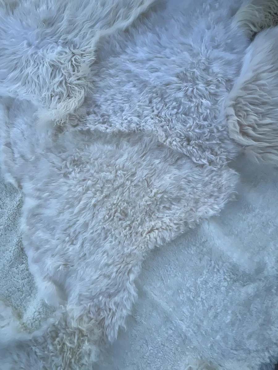 Pipkin by Wol Society, an ivory sheep skin rug with smooth, curly and fluffy textures