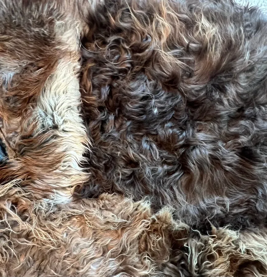 Joep by Wol Society, a brown and grey patchwork sheepskin rug with long, layered fleece