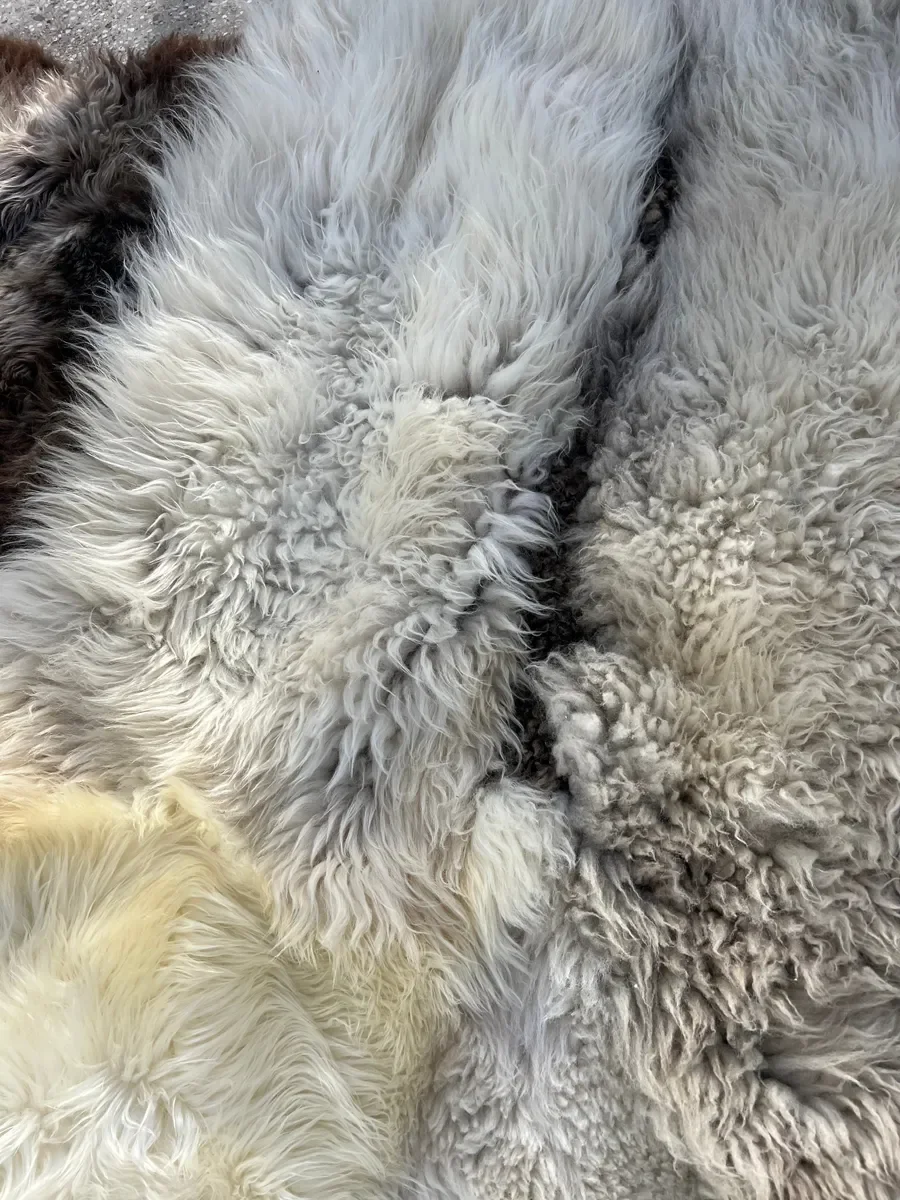 Fluff by Wol Society, a huge ivory and cream sheep skin rug with grey-brown and smoky brown pelts