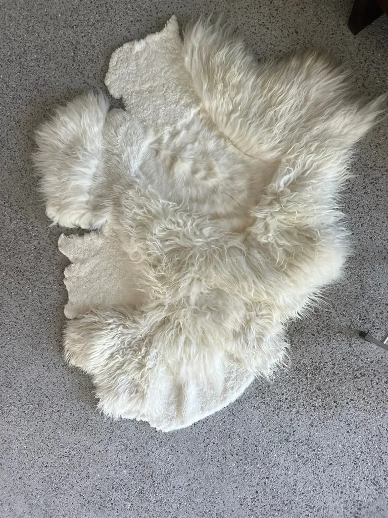 Gamin by Wol Society, an ivory sheep skin rug with long, airy fleece and smooth patches