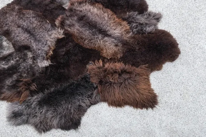 Bruno by Wol Society, a giant dark brown sheepskin rug with smoky grey-brown, frost-tipped pelts