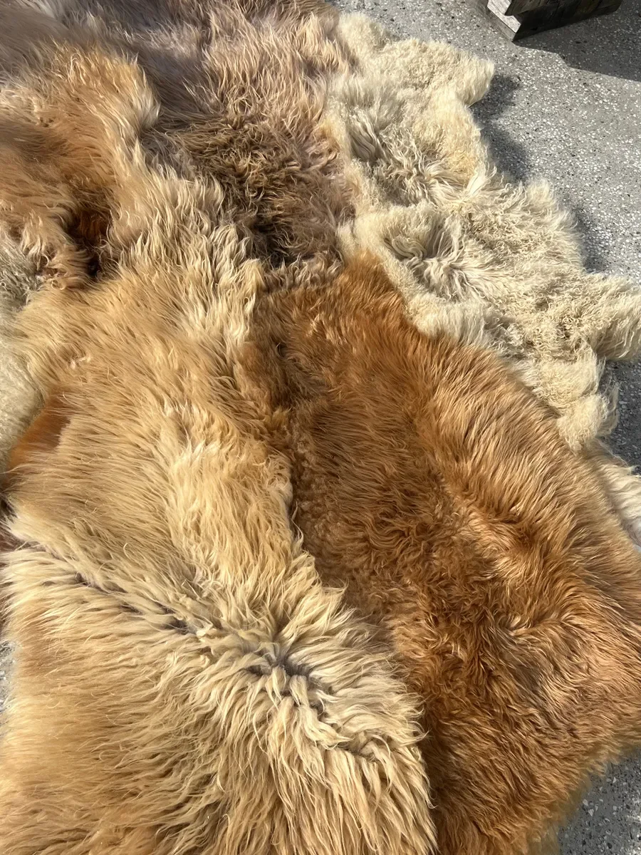 Punch by Wol Society, a golden honey and caramel sheep skin rug with lighter sandy pelts