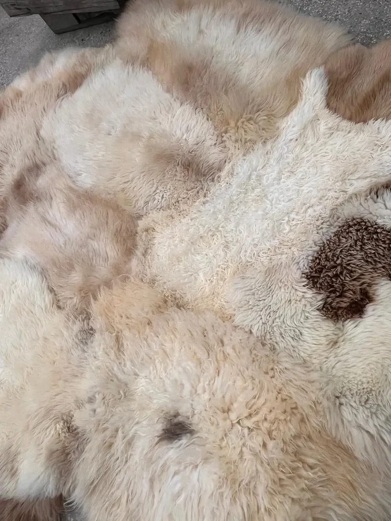 Pipa by Wol Society, a large cream and peach sheep skin rug with taupe-brown accents at one end