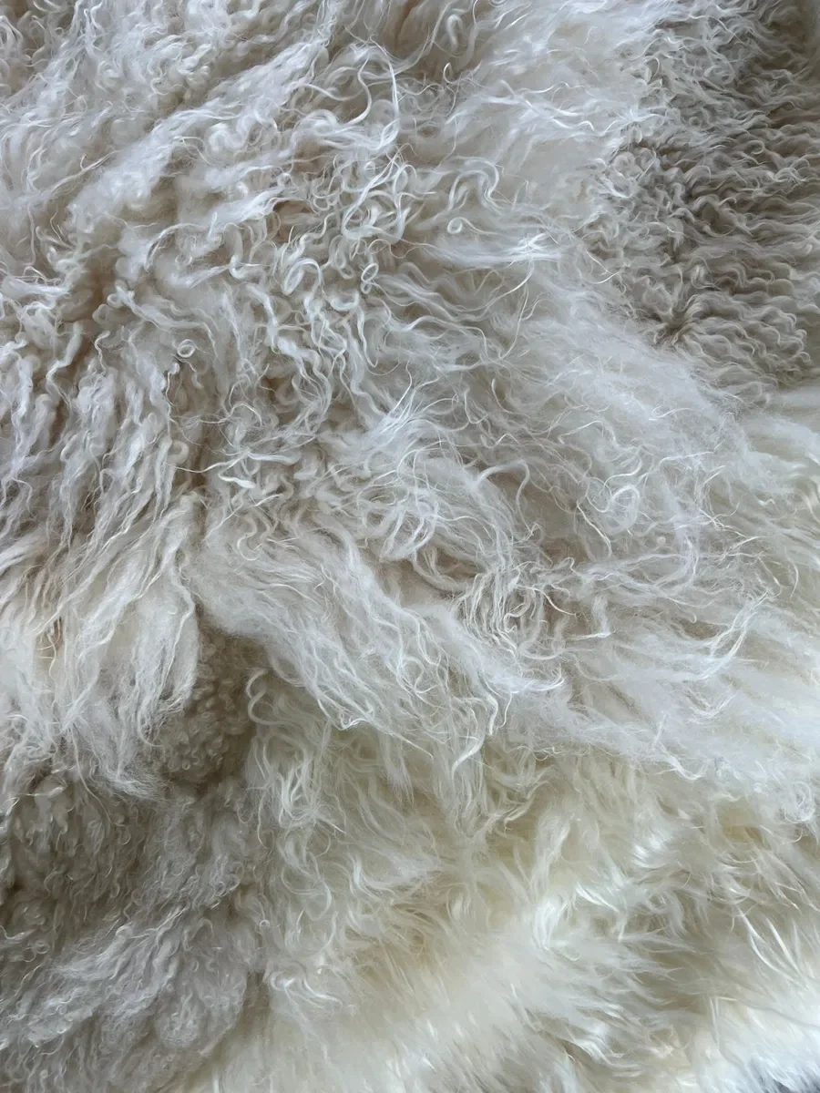 Princess by Wol Society, an ivory sheep skin rug with tight curls and long, silky locks