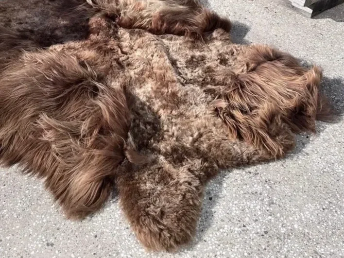 Miso by Wol Society, a shaggy taupe and grey-brown sheepskin rug with lighter tips