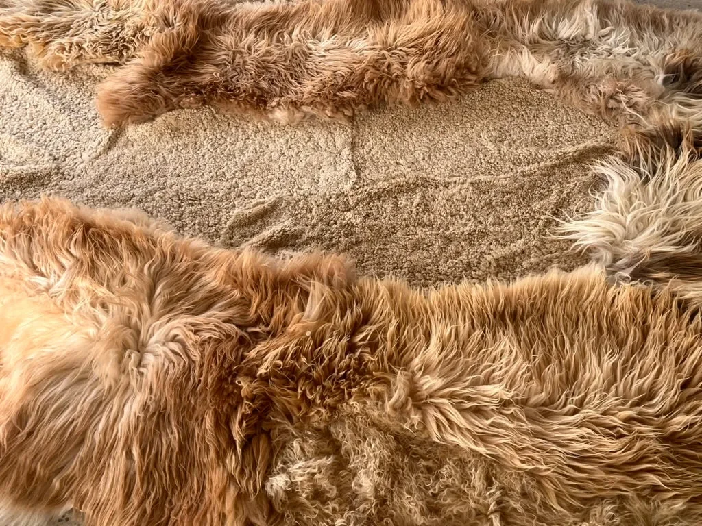 Big Dream by Wol Society, a giant sheepskin rug in caramel and cream with long, silky fleece