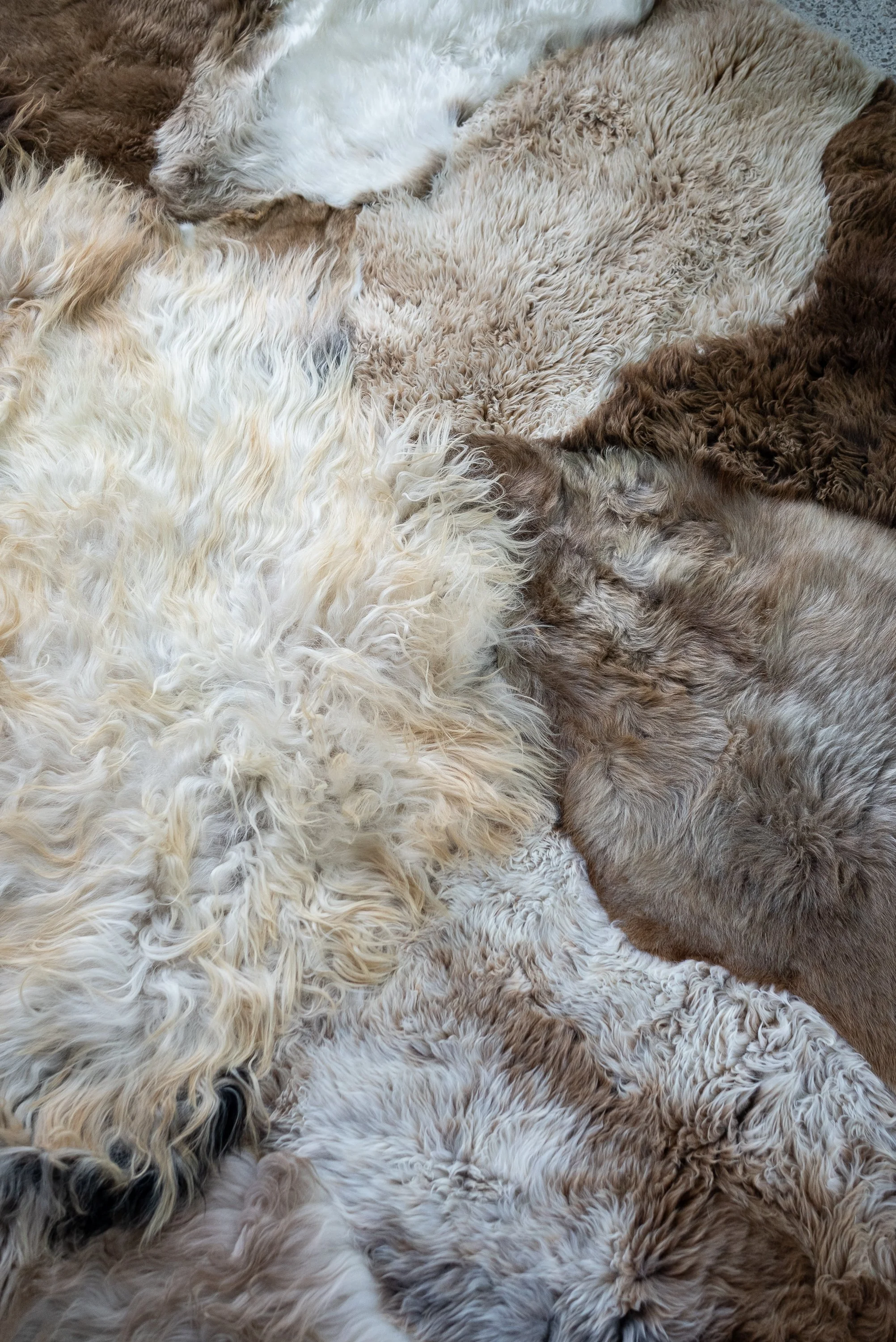 Bandit by Wol Society, a brown patchwork sheepskin rug in chocolate, espresso, taupe and cream