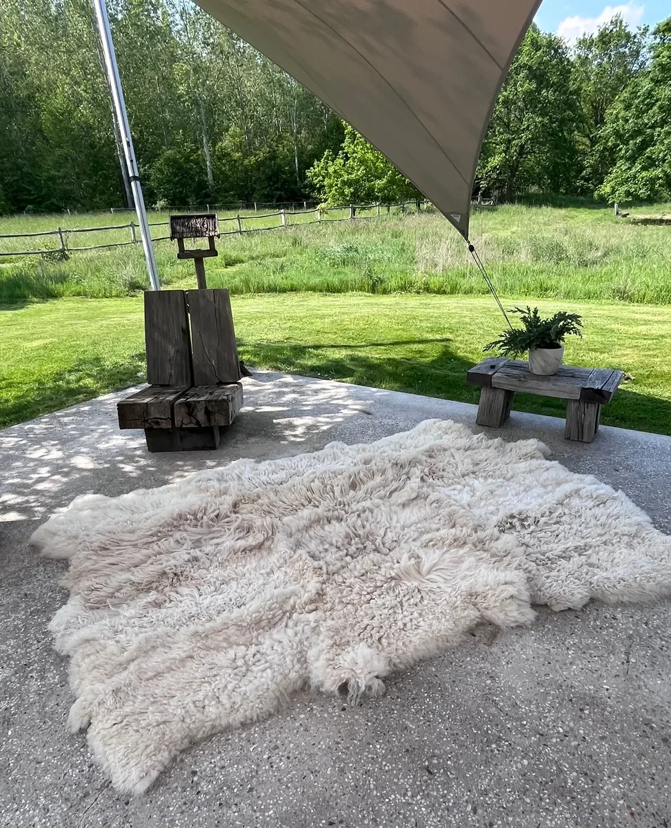 Odette by Wol Society, a curly ivory Heidsnucke sheep skin rug with dense locks