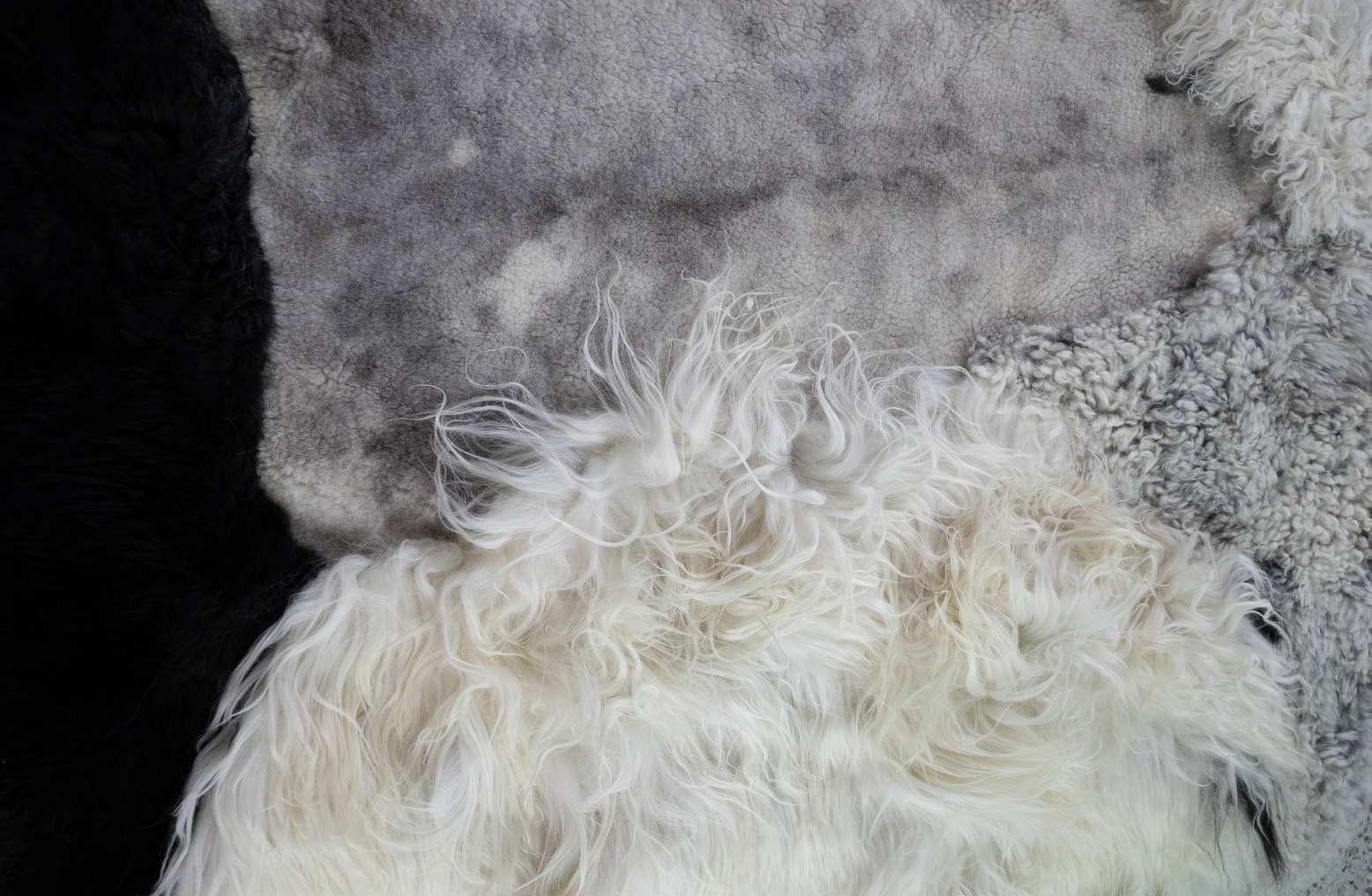 Bohdi by Wol Society, a black and white patchwork sheepskin rug with a smooth dove-grey center