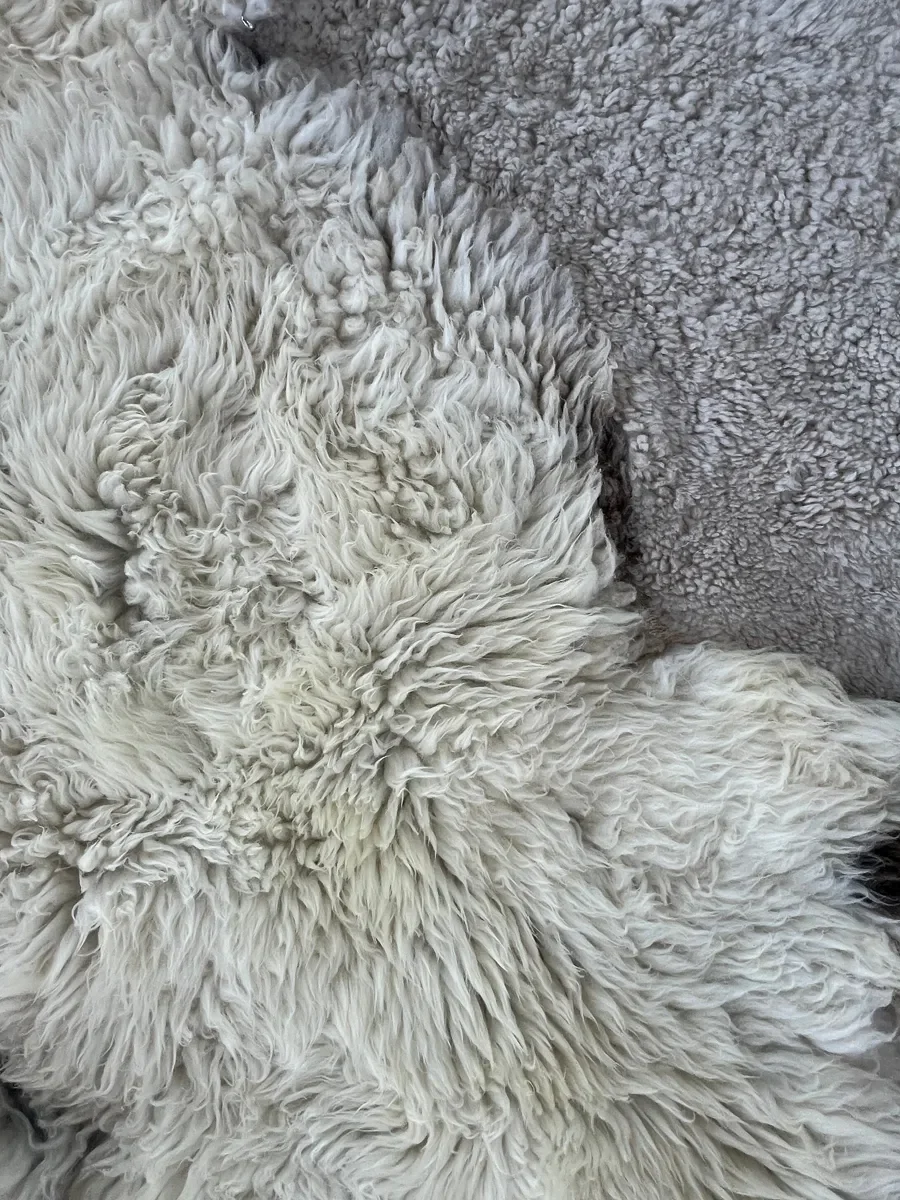 Tilly Moon by Wol Society, an ivory sheep skin rug with taupe pelts, silver grey curls and small brown spots