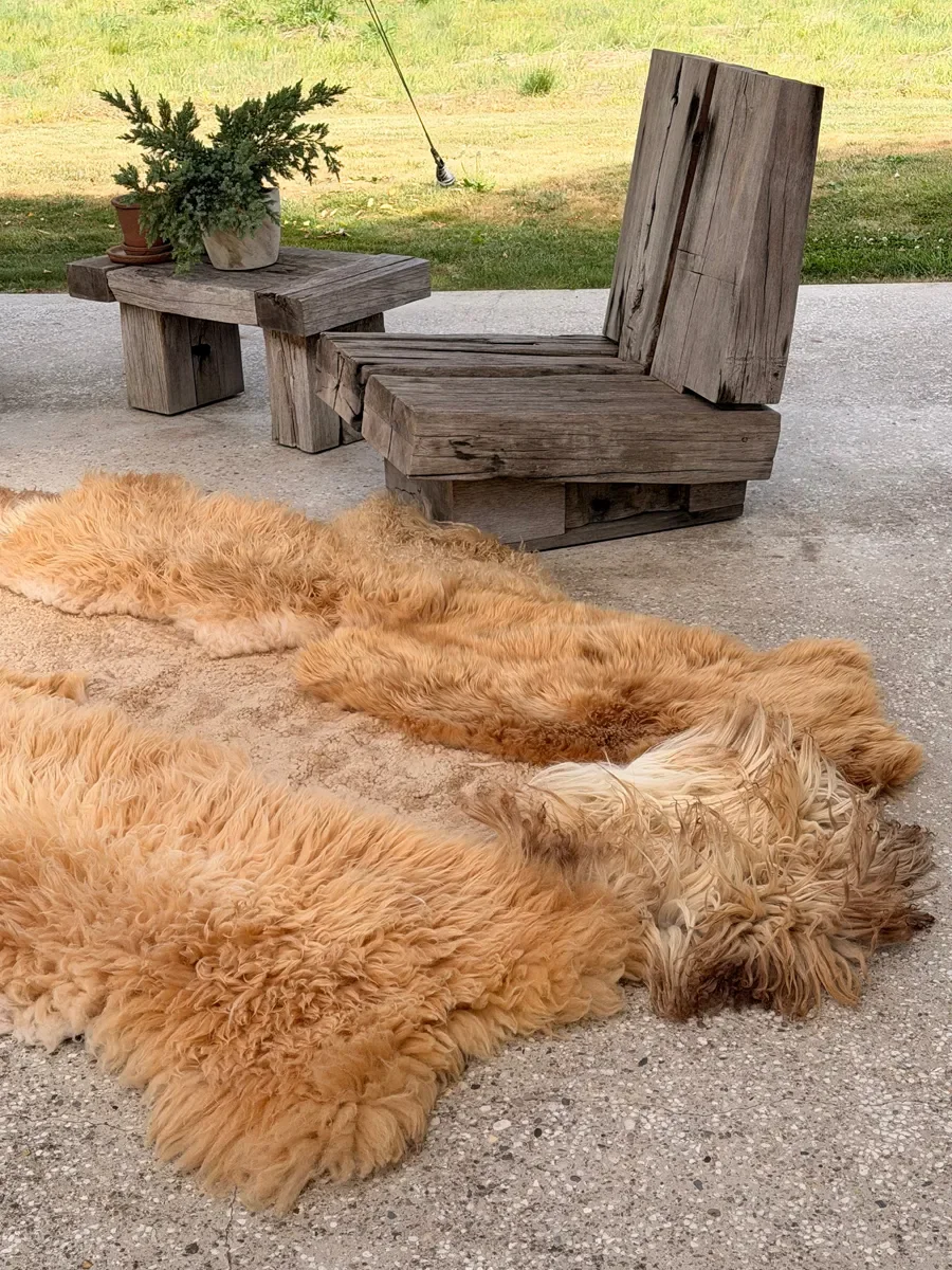 Kamiel by Wol Society, a golden ginger sheep skin rug with long, shaggy fleece and a sandy center