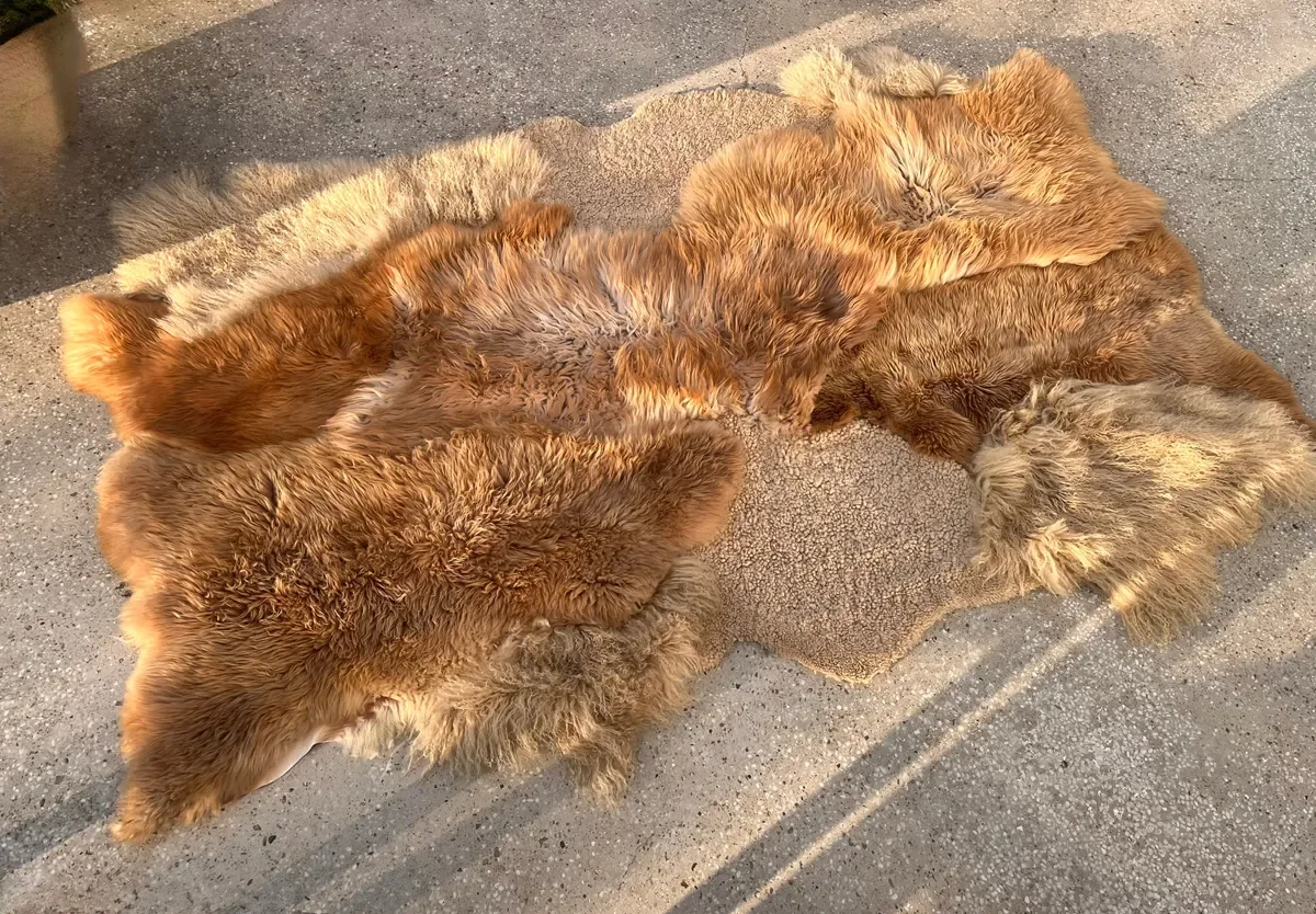 Latte Love by Wol Society, a caramel and honey sheep skin rug with plush fleece around a sandy beige center