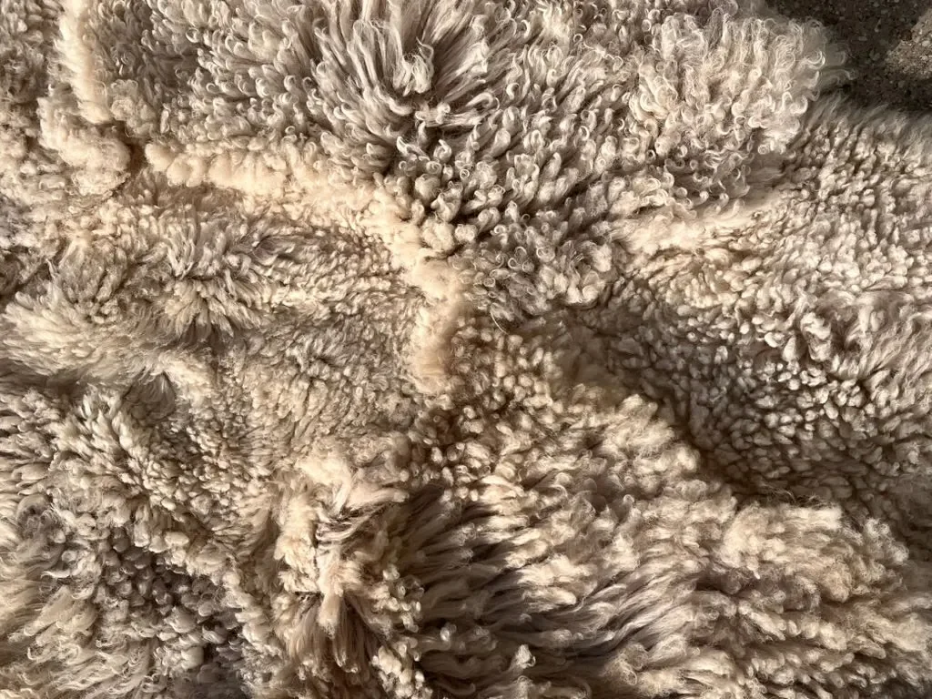 Bubbles by Wol Society, a shaggy cream sheep skin rug with curly, voluminous fleece