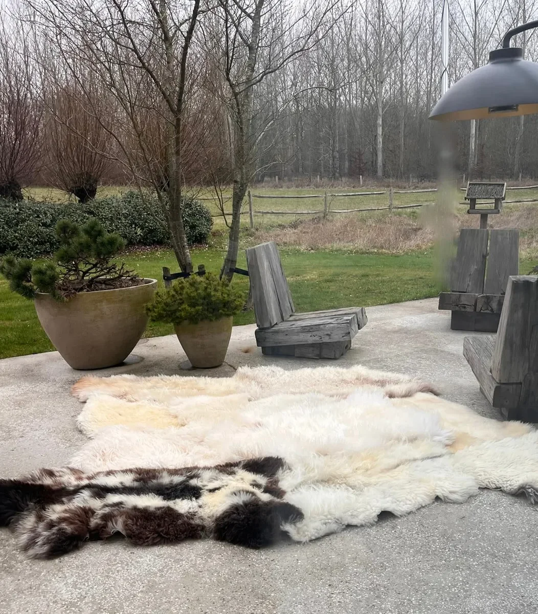 Pipper by Wol Society, a giant cream and ivory sheep skin rug with grey-brown curls and a speckled pelt