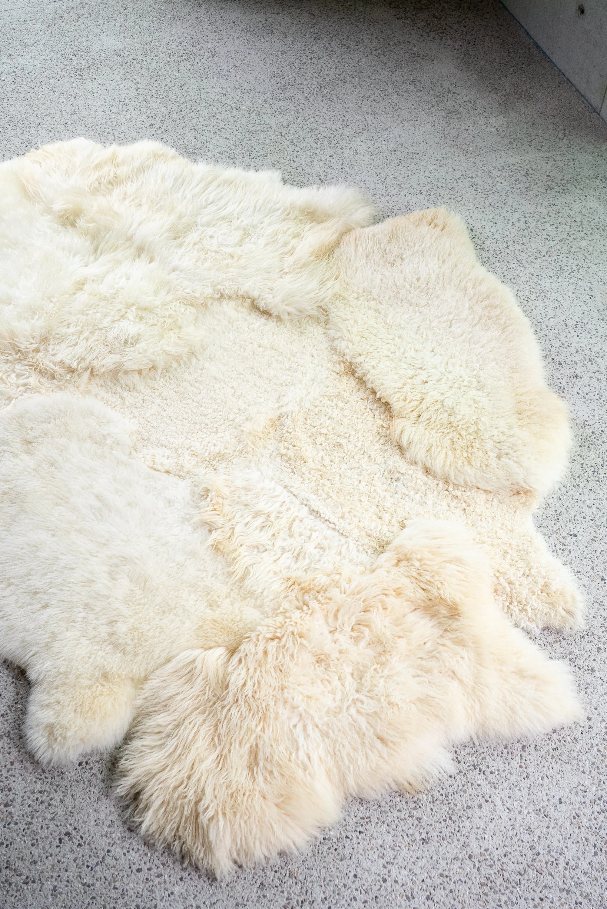 Nugget by Wol Society, a large buttery cream sheep skin rug with curly and silky fleece