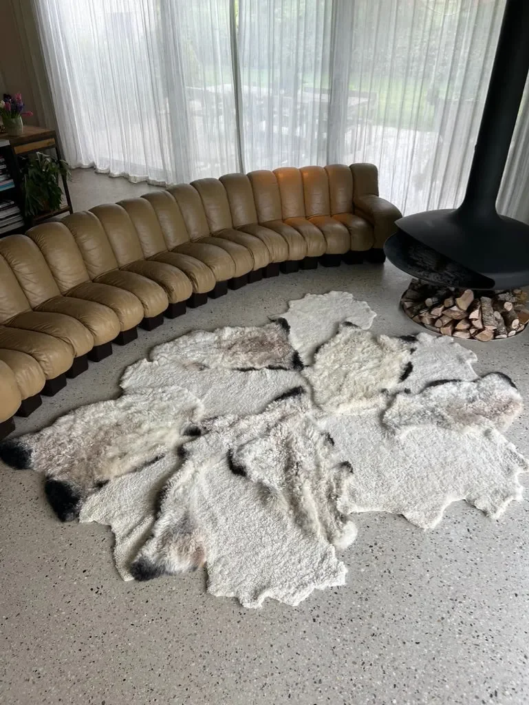 Mimi by Wol Society, an ivory Walliser Blacknose sheep skin rug with taupe shading and black-tipped edges