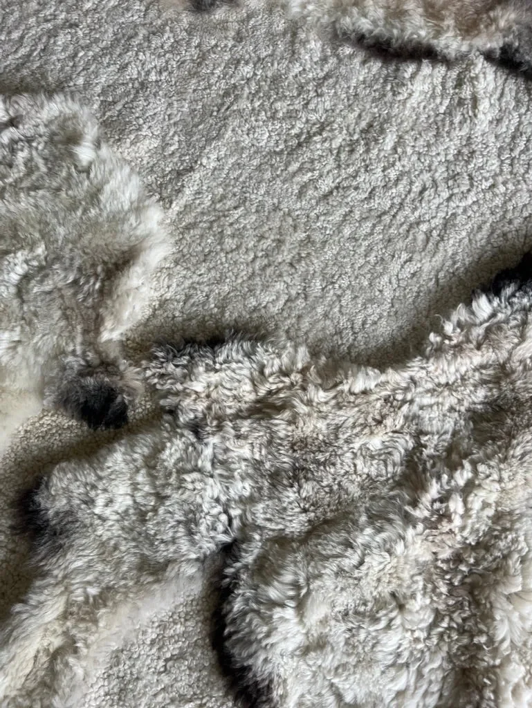 Mimi by Wol Society, an ivory Walliser Blacknose sheep skin rug with taupe shading and black-tipped edges