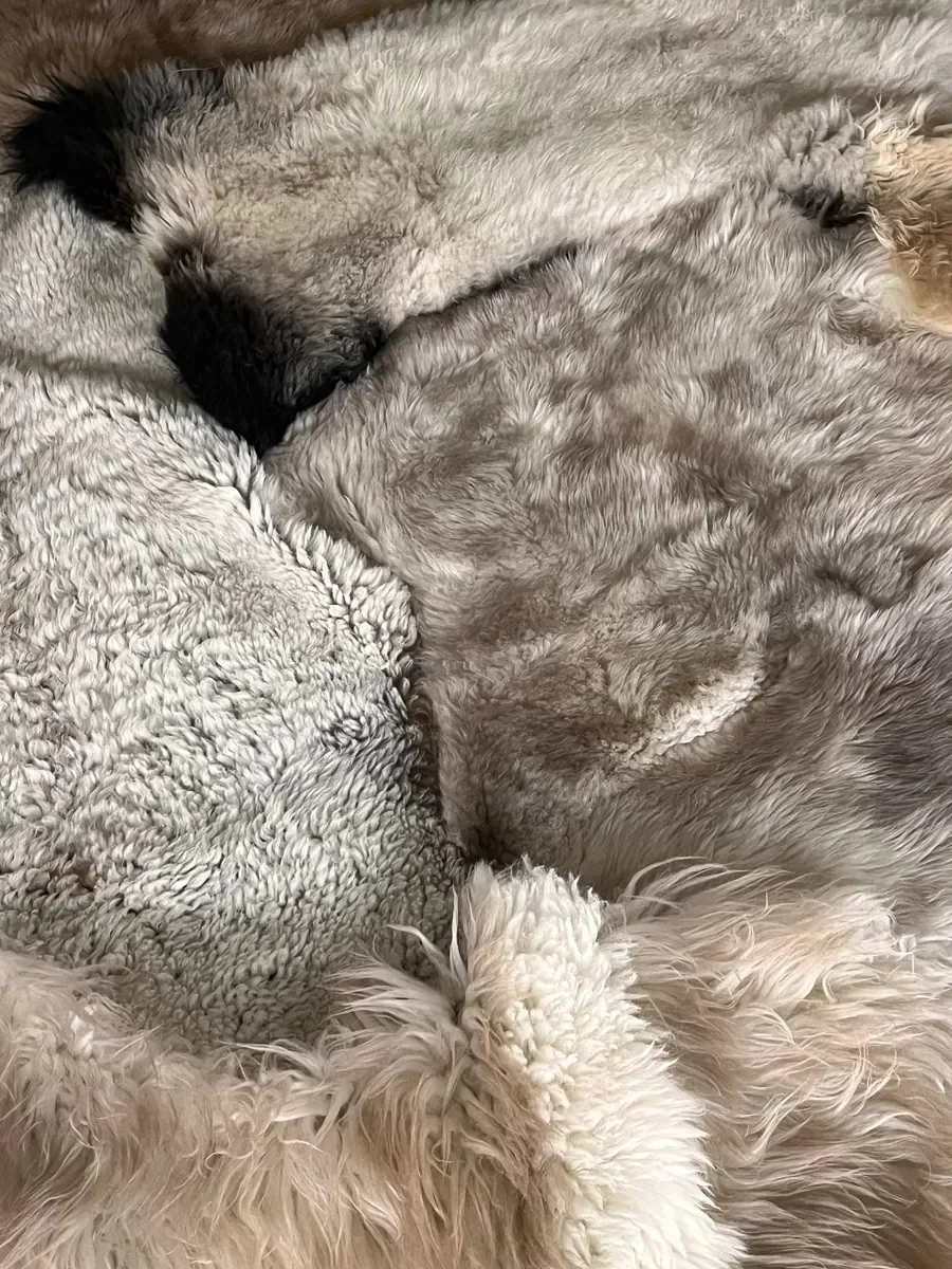 Fragile by Wol Society, a patchwork sheepskin rug in silver grey, warm taupe and ivory with charcoal accents