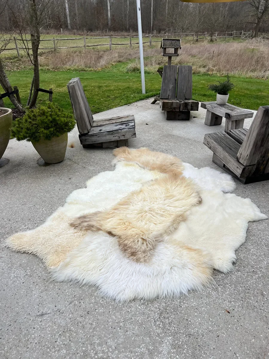 Nomad by Wol Society, a creamy white sheepskin rug with a honey and taupe pelt across the center