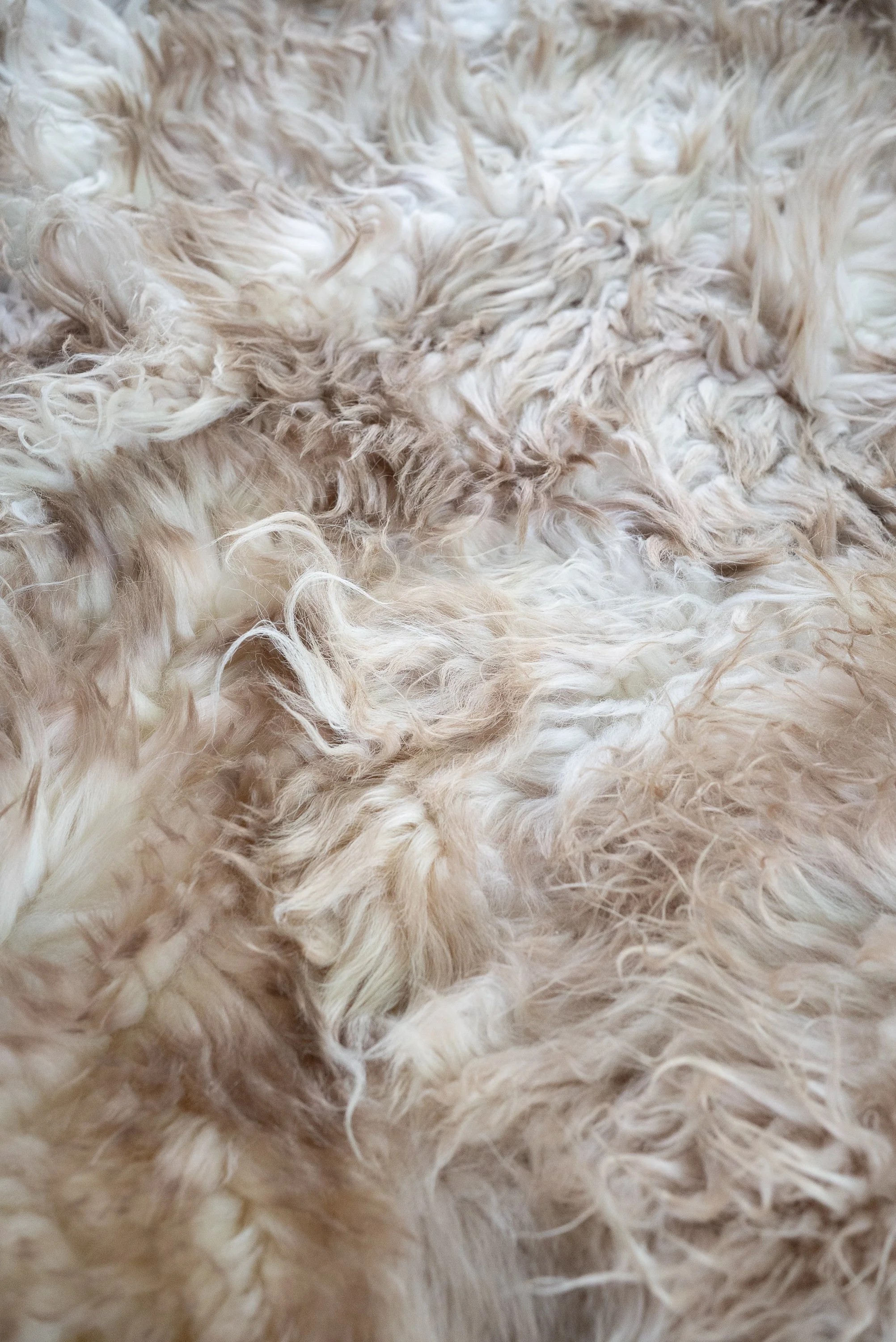 baaa-bara-sheepskin-rug (8).jpg