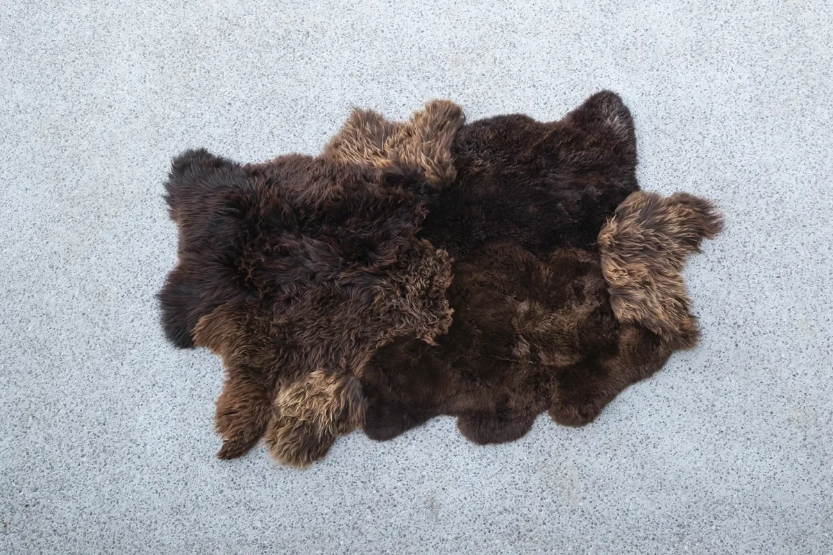 Toffee Twist by Wol Society, a shaggy dark chocolate sheep skin rug with toffee-colored tips