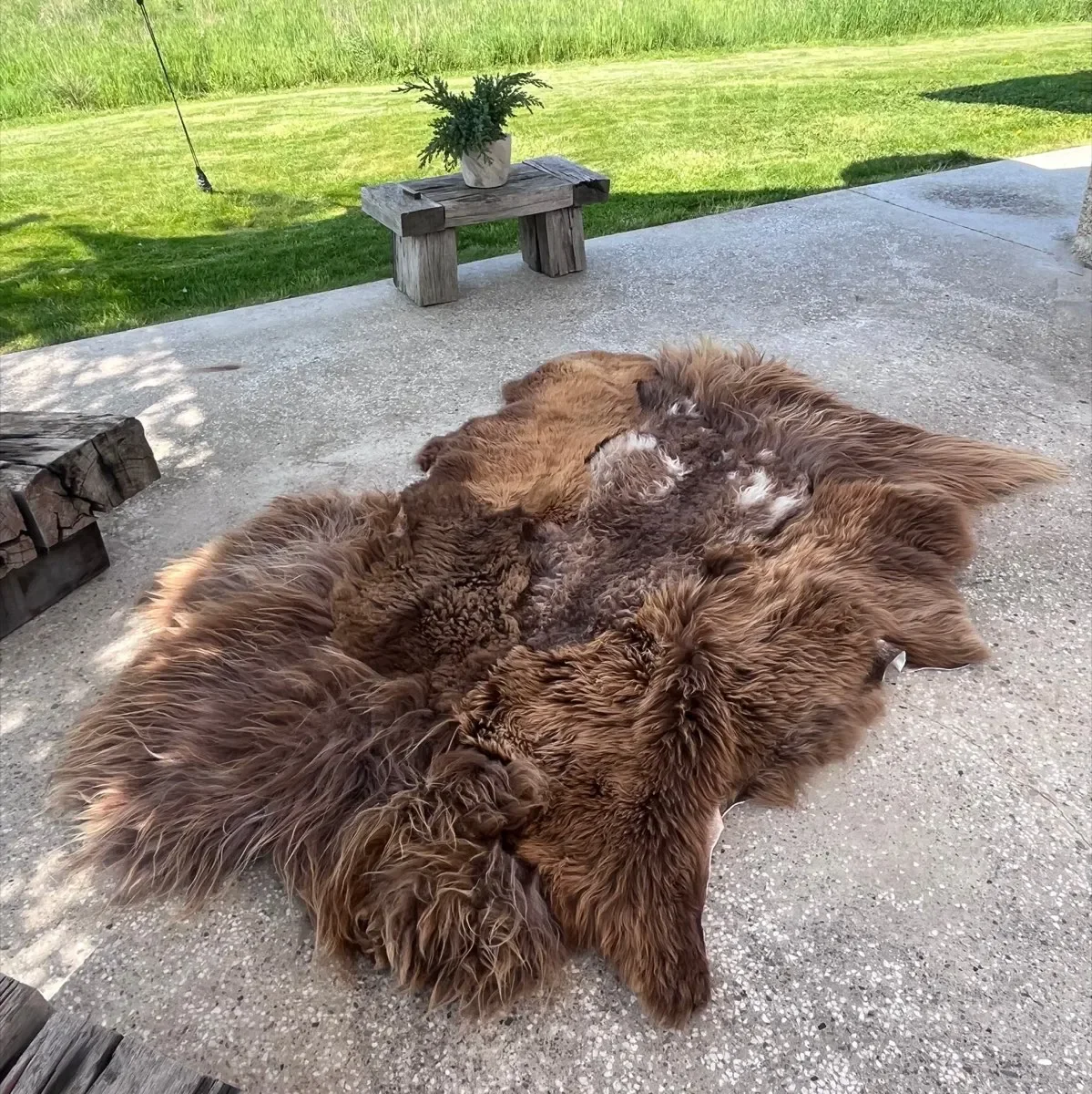 Baa-rista by Wol Society, a shaggy coffee-brown sheep skin rug with toffee tips and cream flecks.