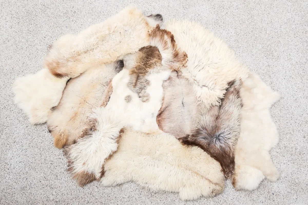 Vanilla by Wol Society, a cream and ivory sheep skin rug with taupe and grey-brown pelts