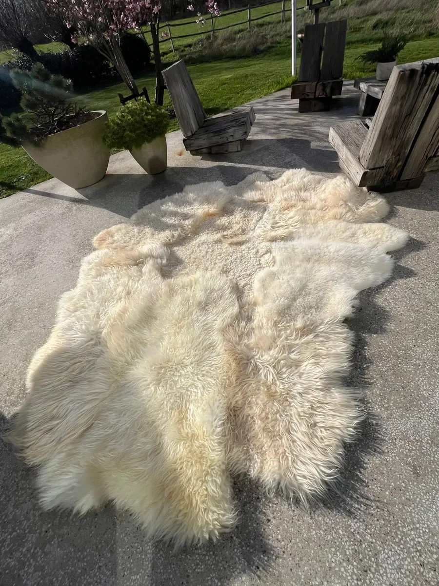 Nugget by Wol Society, a large buttery cream sheep skin rug with curly and silky fleece