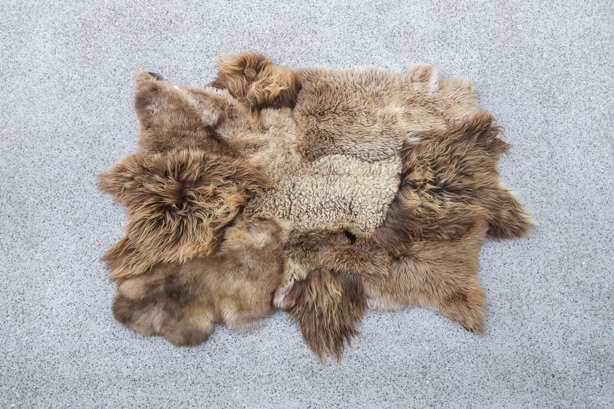 Snickers by Wol Society, a shaggy caramel and mocha sheep skin rug with a curly oatmeal center