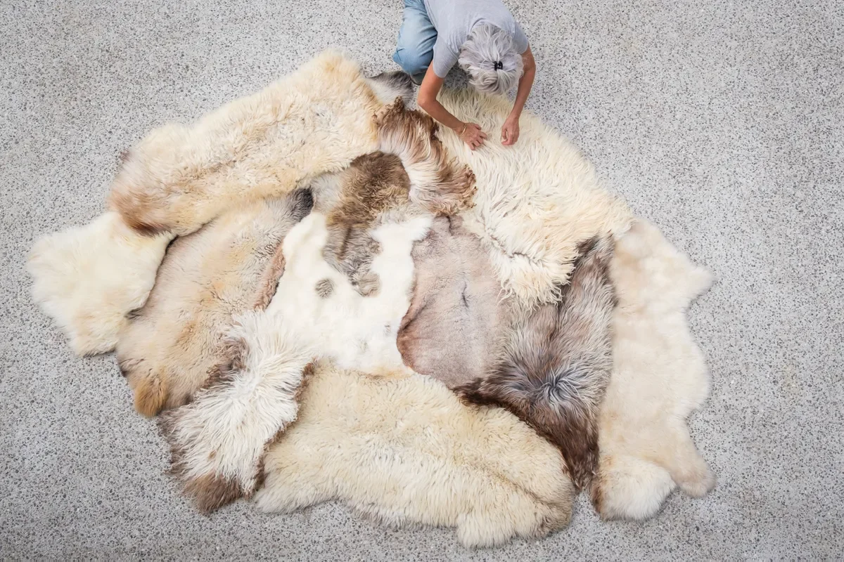 Vanilla by Wol Society, a cream and ivory sheep skin rug with taupe and grey-brown pelts