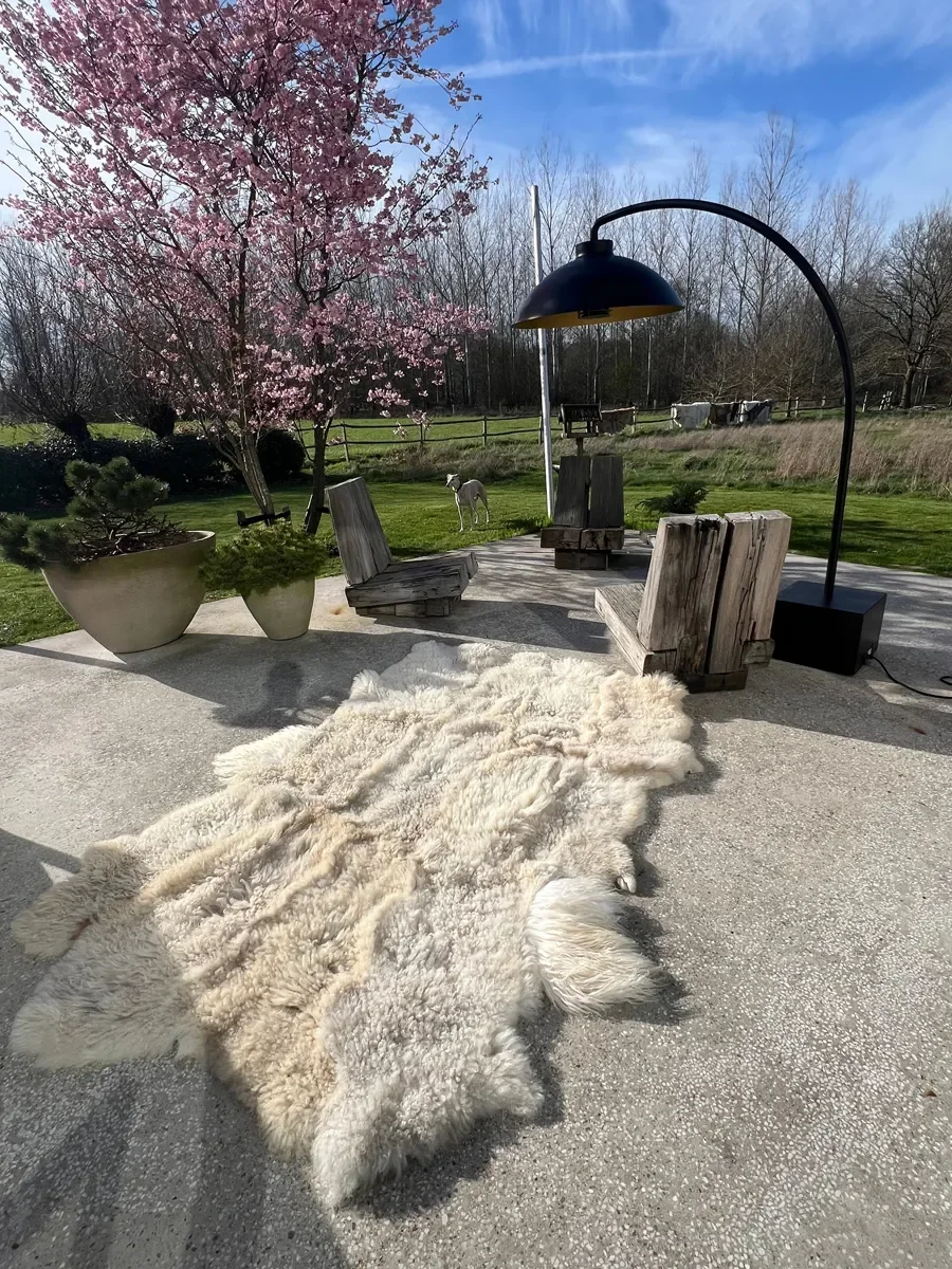 Mono by Wol Society, an ivory sheep skin rug with long, gently wavy fleece