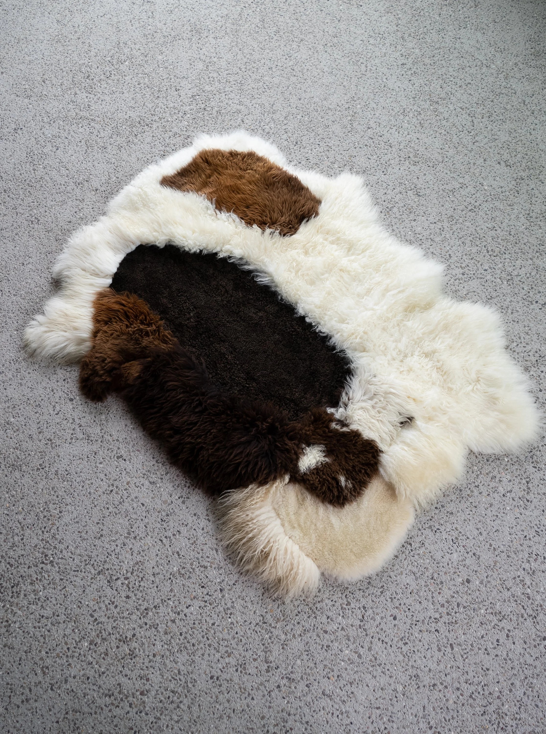 Buddy by Wol Society, a creamy and brown sheepskin rug with a balance of creamy ivory, espresso, chocolate, and chestnut colored pelts.
