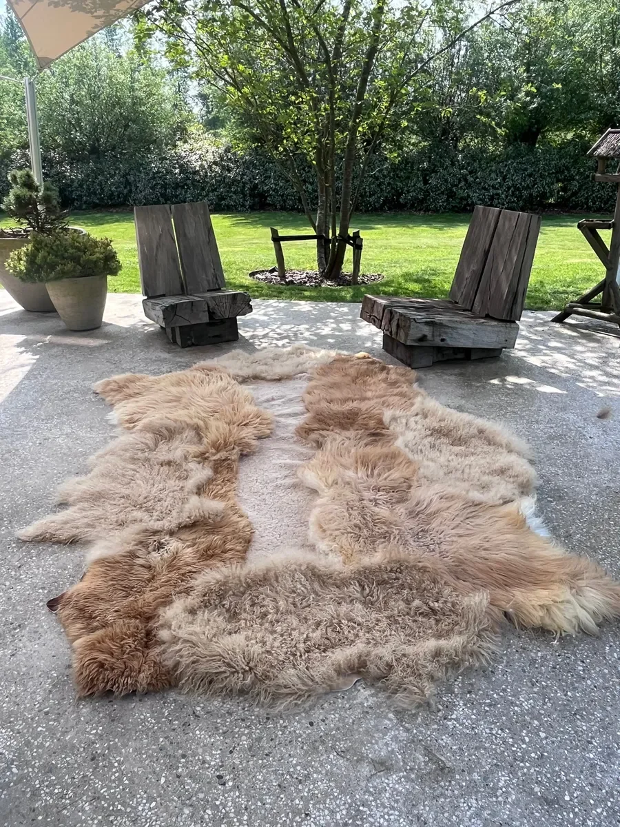Pickles by Wol Society, a honey and sand sheep skin rug with shaggy fleece around a sandy beige center