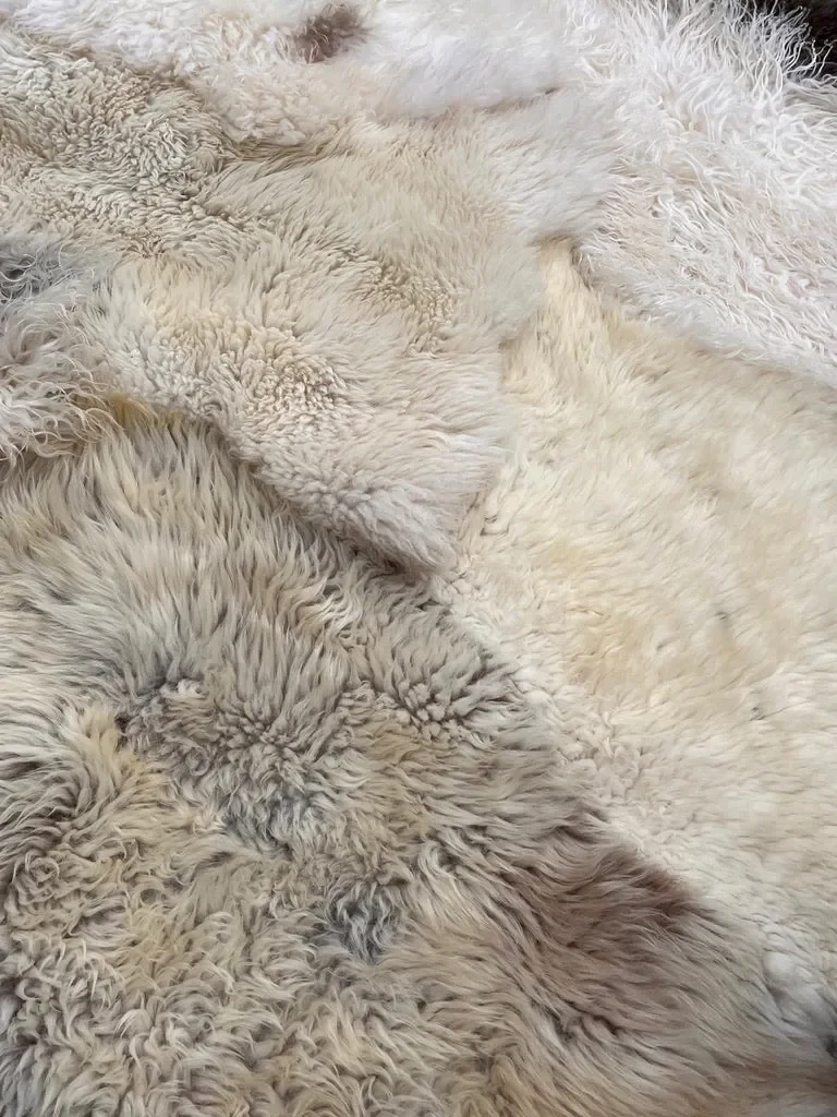 Pipper by Wol Society, a giant cream and ivory sheep skin rug with grey-brown curls and a speckled pelt