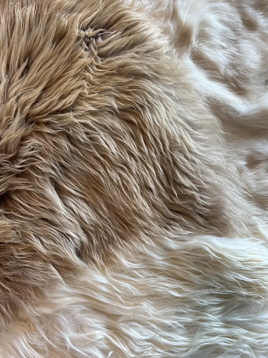 Prulleke by Wol Society, a large creamy ivory sheep skin rug with an oval taupe-brown pelt