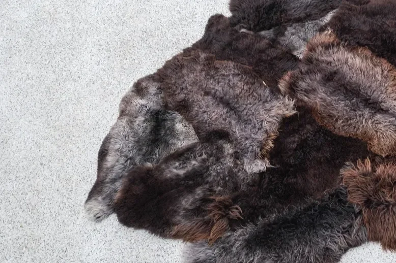 Bruno by Wol Society, a giant dark brown sheepskin rug with smoky grey-brown, frost-tipped pelts