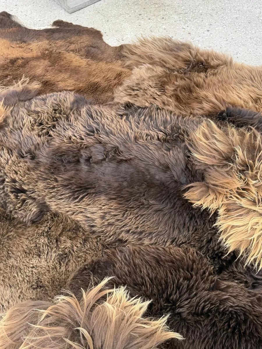 Zoomie by Wol Society, a shaggy chocolate brown sheepskin rug with honey-colored tips