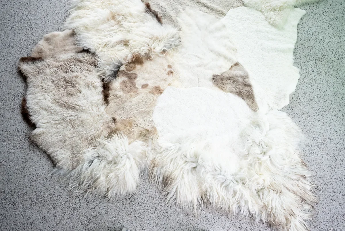 Poppy Puff by Wol Society, an ivory patchwork sheepskin rug with taupe spots and brown-edged pelts