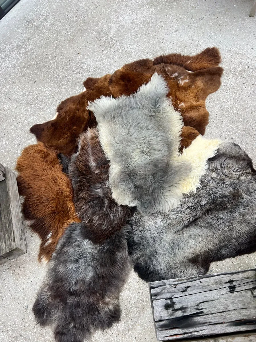 Wilder by Wol Society, a large copper brown and silver grey sheepskin rug with cream accents