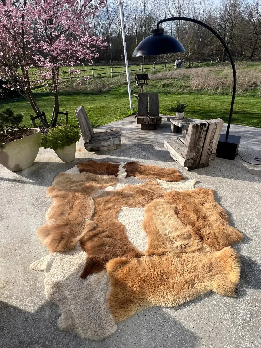 Wuzzy by Wol Society, a large caramel and honey sheep skin rug with patches of curly cream