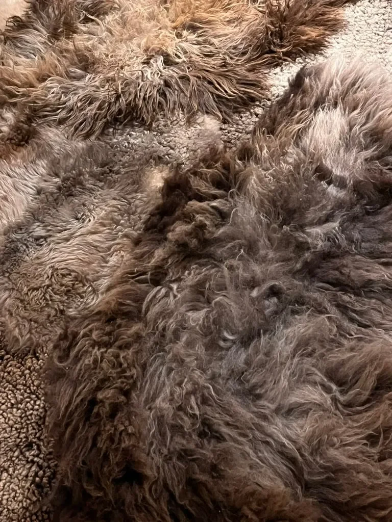 Him by Wol Society, a brown sheepskin rug with shaggy smoky-brown fleece and a close-curled cocoa pelt