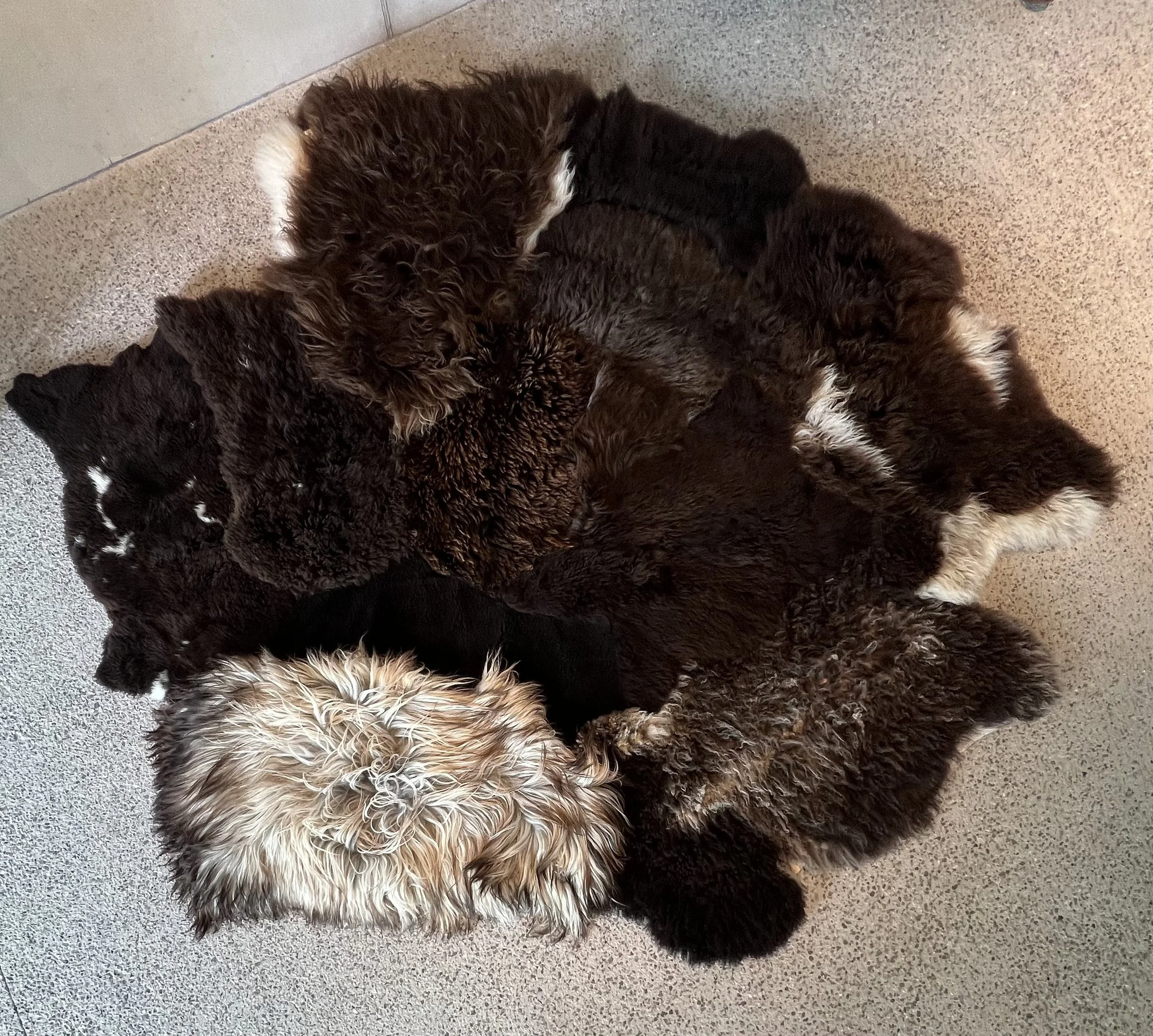fons-sheepskin-rug (6).jpeg