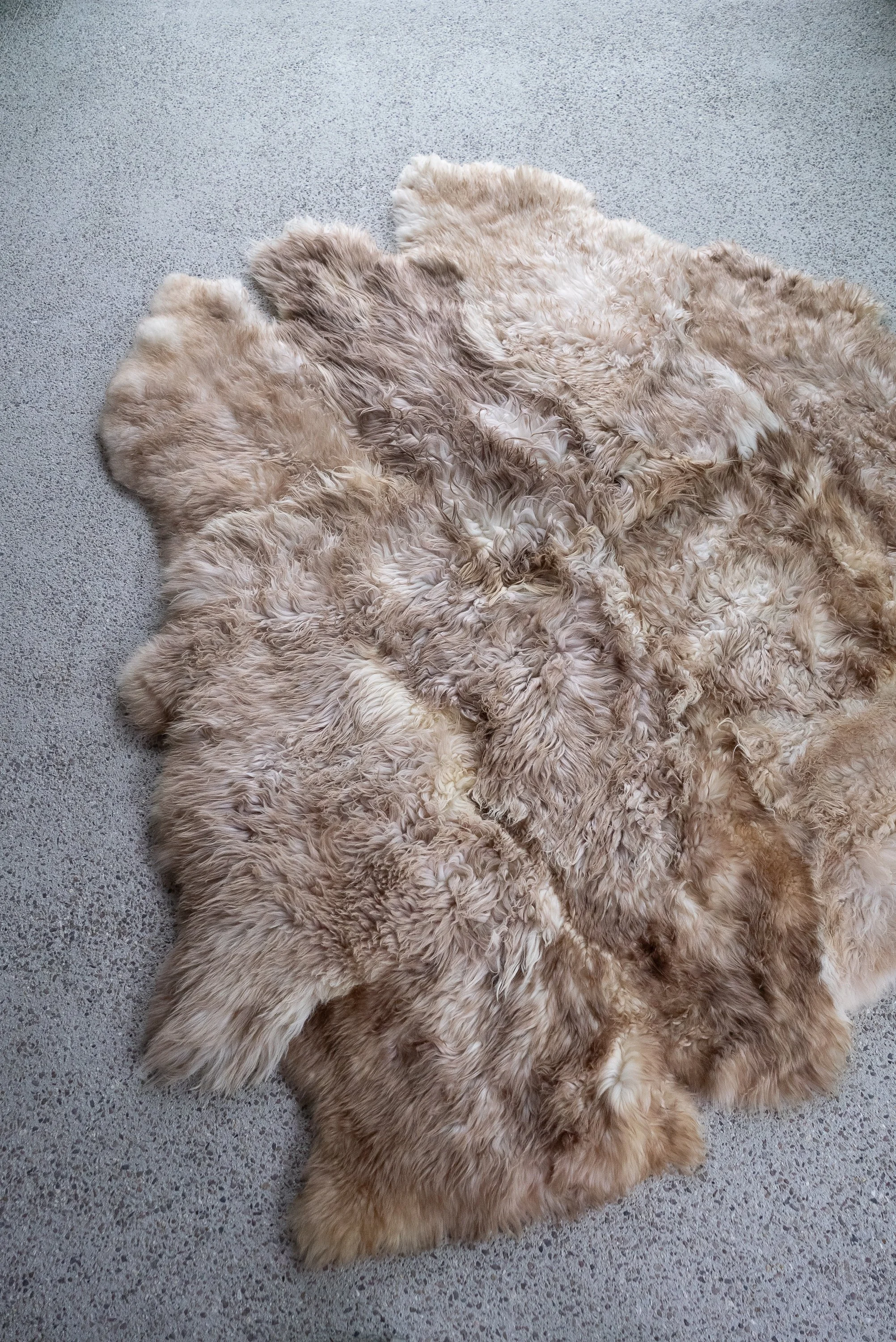 baaa-bara-sheepskin-rug (4).jpg
