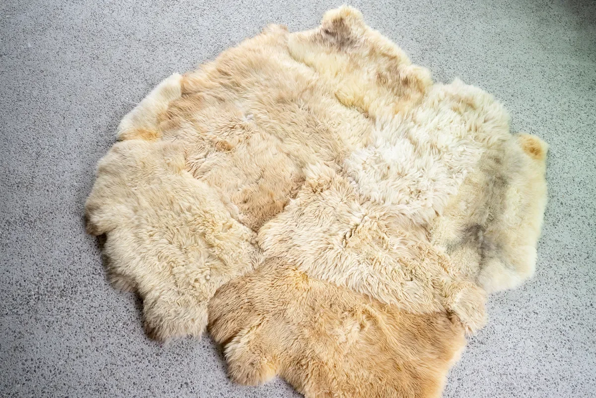 Rosie by Wol Society, a honey and wheat sheep skin rug with plush pelts