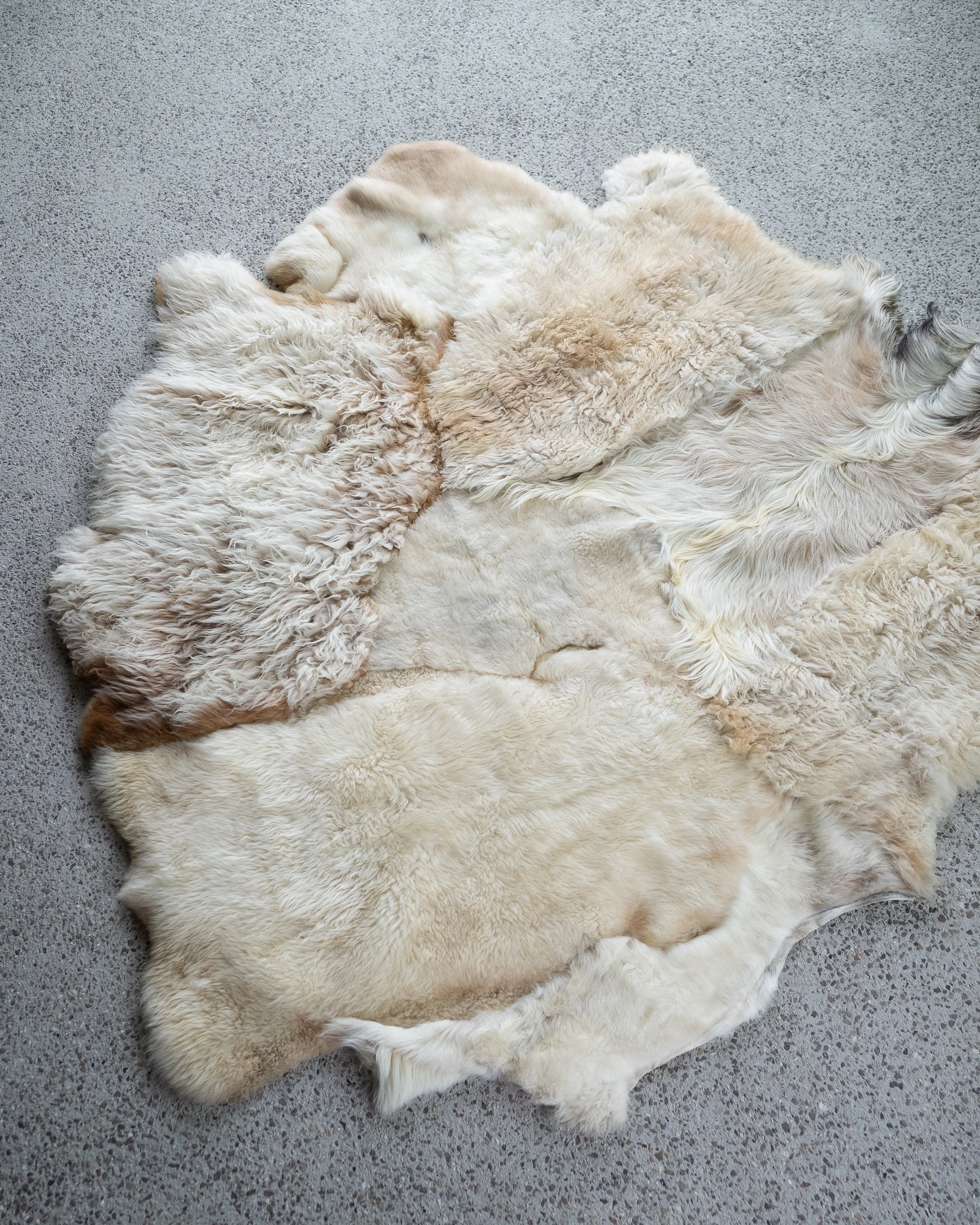 alfie-grey-white-sheepskin-rug (5).jpg