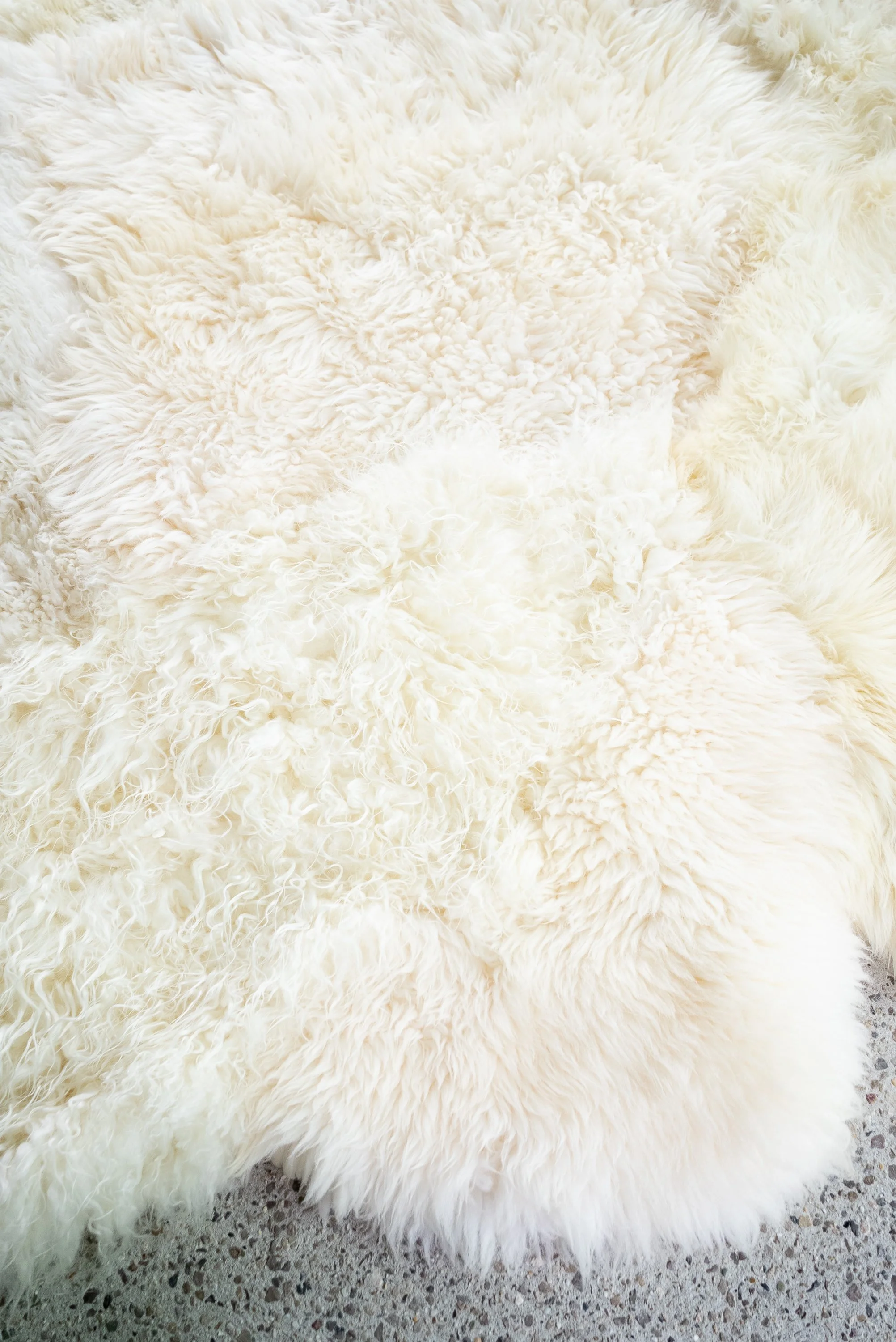 Kai by Wol Society, an ivory and cream sheep skin rug with long, gently wavy fleece