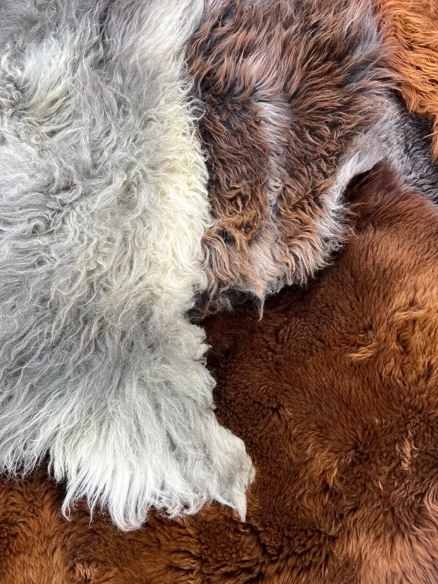 Wilder by Wol Society, a large copper brown and silver grey sheepskin rug with cream accents