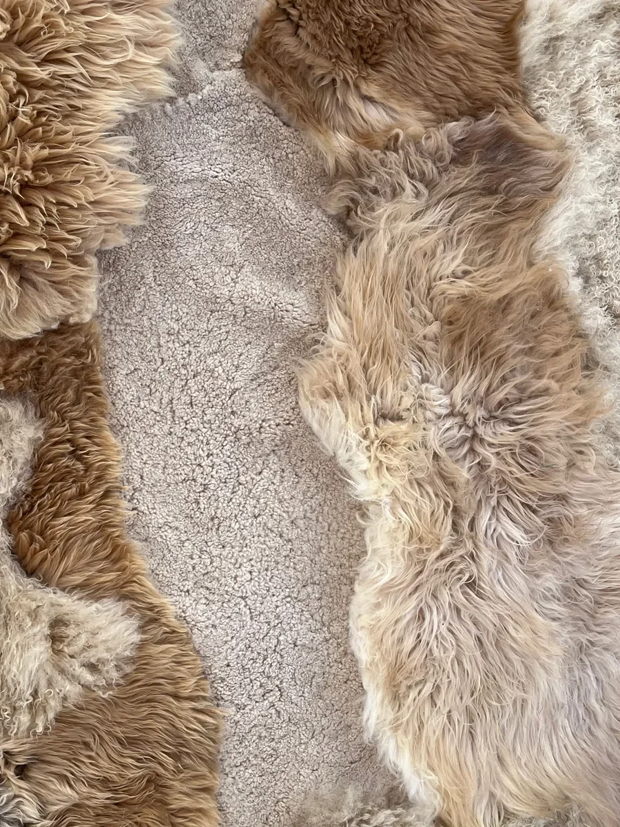Pickles by Wol Society, a honey and sand sheep skin rug with shaggy fleece around a sandy beige center