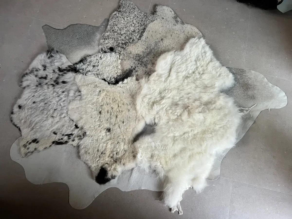 Mieke 206 by Wol Society, a cream sheep skin rug with speckled black and white pelts on a pale grey cowhide border