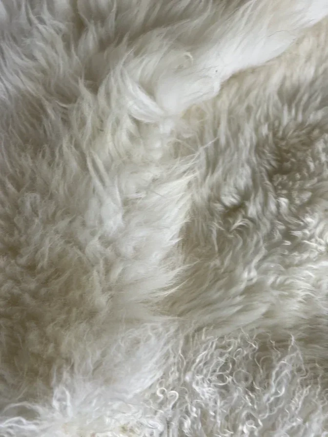 Amy-sheepskin-rug-5.webp